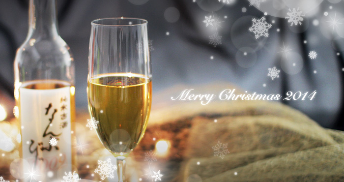Merry Christmas 2014