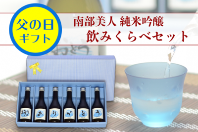 父の日ギフト 南部美人 純米吟醸 飲みくらべセット